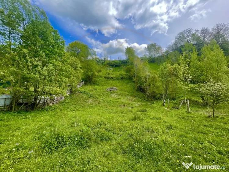 Teren de 839 mp, în Valea Doftanei