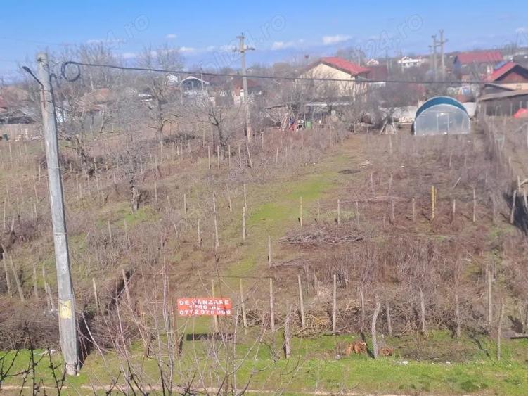 Teren de 600 mp, în Coșoveni