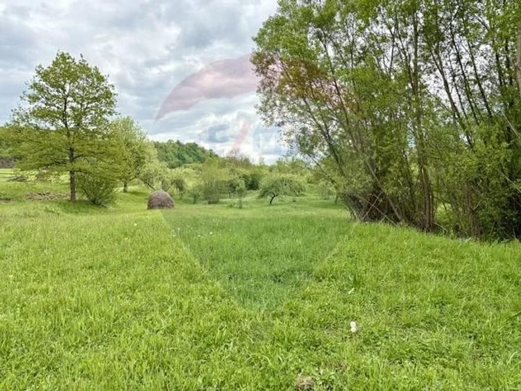 Teren de 20876 mp, în Breb