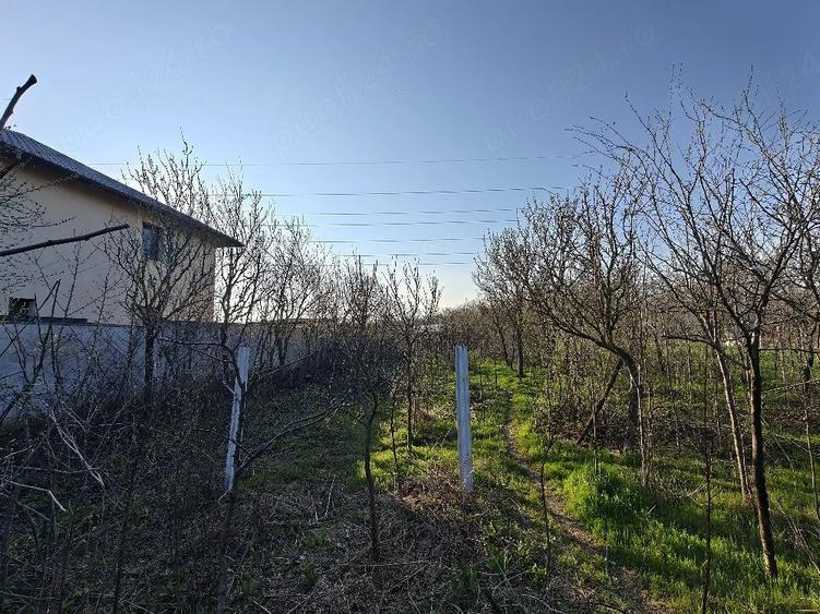 Teren de 600 mp, în Bucov