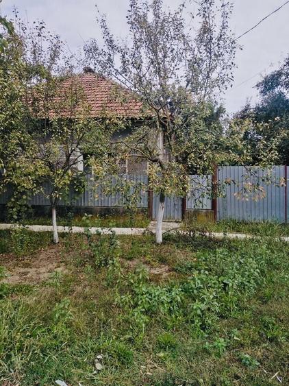 Casă cu 3 camere în Șepreuș