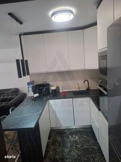 Apartament cu 2 camere, mobilat în Sub Arini