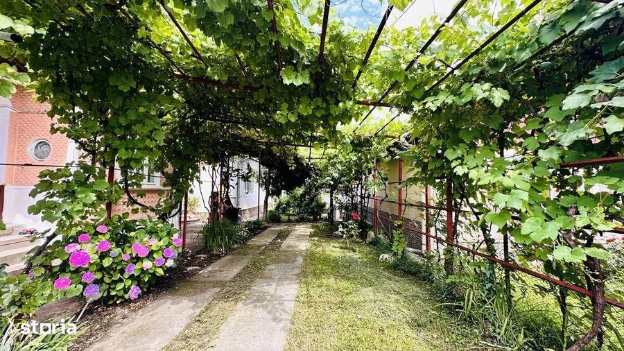 Casă cu 4 camere în Homorâciu