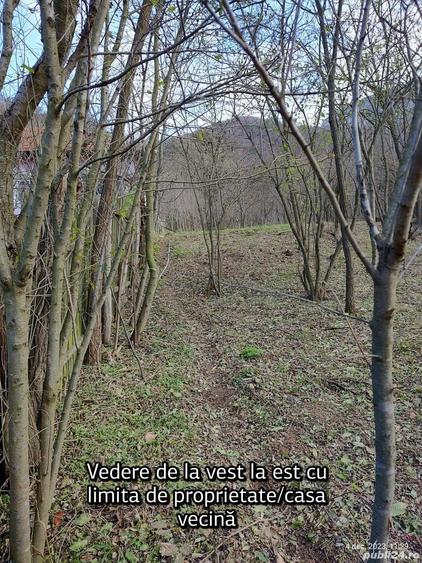 Teren în Pecinișca
