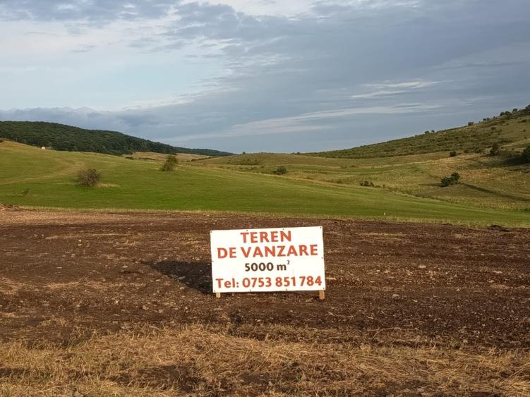 Teren construibil intravilan 5.000 mp parcelat in 2400mp + 2000mp cu drum- Piatra Neamt - 4
