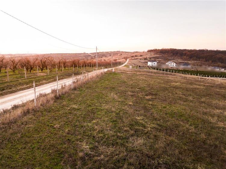 Teren intravilan de 915 mp, în Podgoria