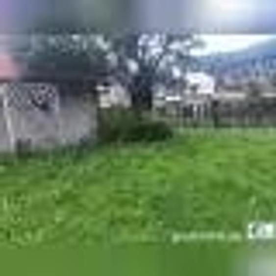 Casă cu 3 camere cu Teren 272 Mp în Poiana Țapului