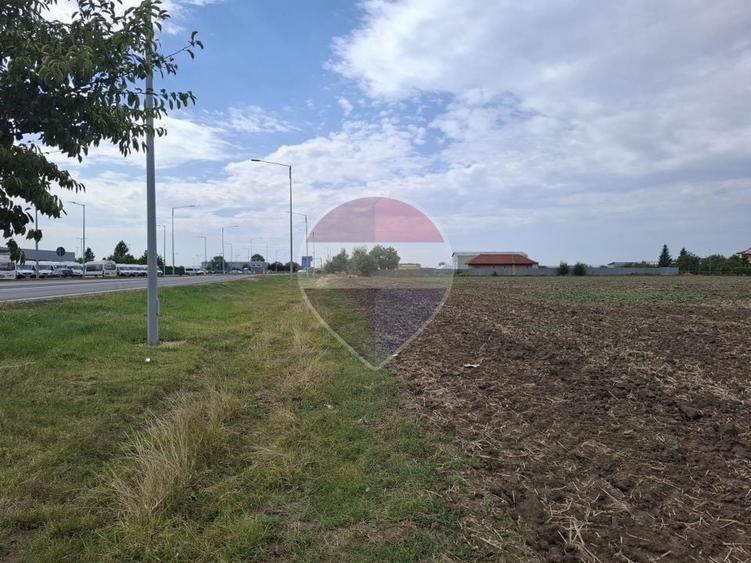 Investitie vanzare teren intravilan 26.666mp la DN3| Vizavi de Makita| - 5