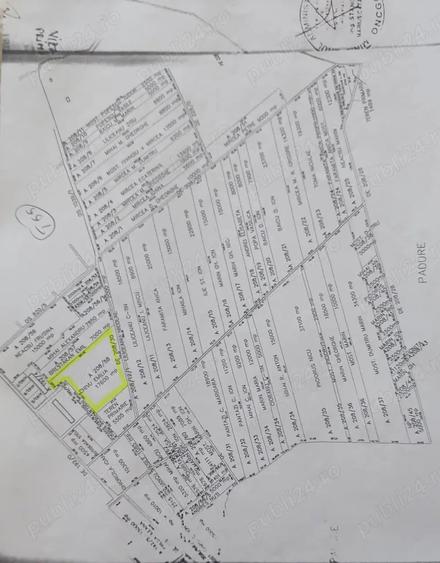 Teren de 17600 mp, în Dascălu