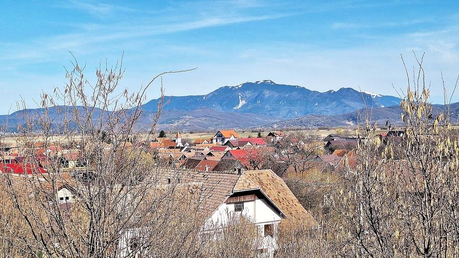 Teren Construcții extravilan de 17000 mp, în Tohanu Nou