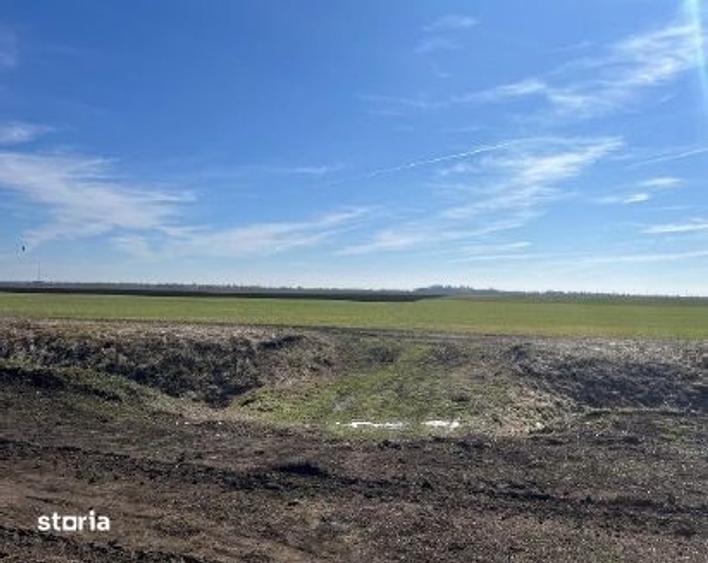 Teren de 5000 mp, în Dor Mărunt