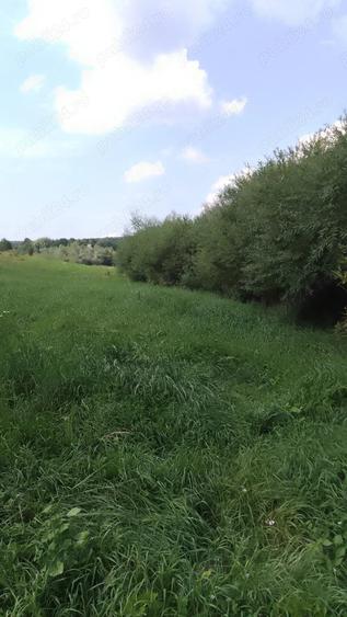 Teren de 4400 mp, în Mitocu Dragomirnei