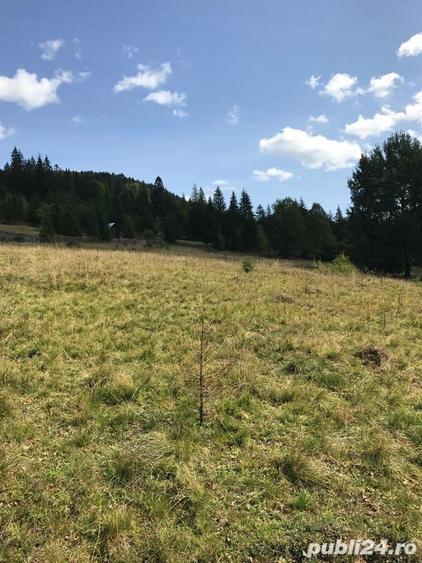 Casă individuală cu 2 camere cu Teren 40000 Mp în Nord
