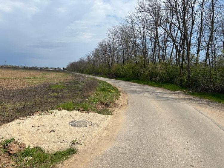 Teren Construcții intravilan de 100000 mp, în Ciolpani