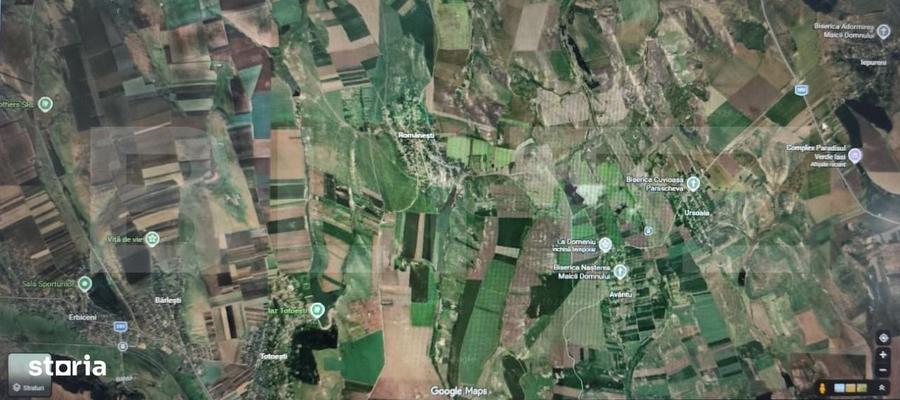 Teren intravilan 50.000 mp Iepureni - 1