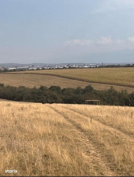Parcele de teren extravilan pentru cabane- Rusciori ,jud Sibiu - 1