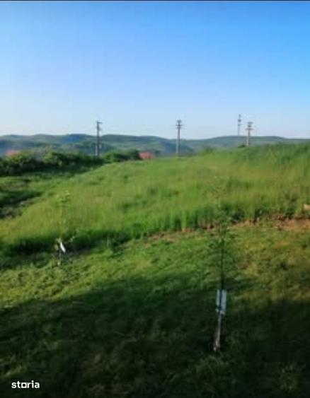 Teren de 1000 mp, în Vultureni