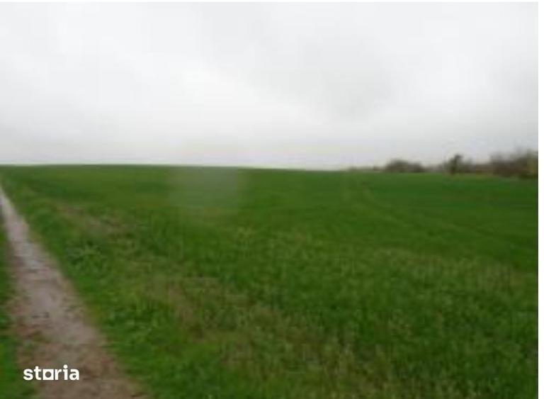 Teren de 5902 mp, în Valea Mare