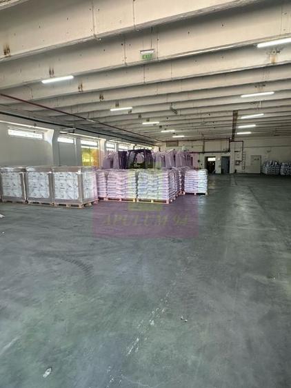 Hale industriale cu parcari multiple Bragadiru Sos Alexan... - 17