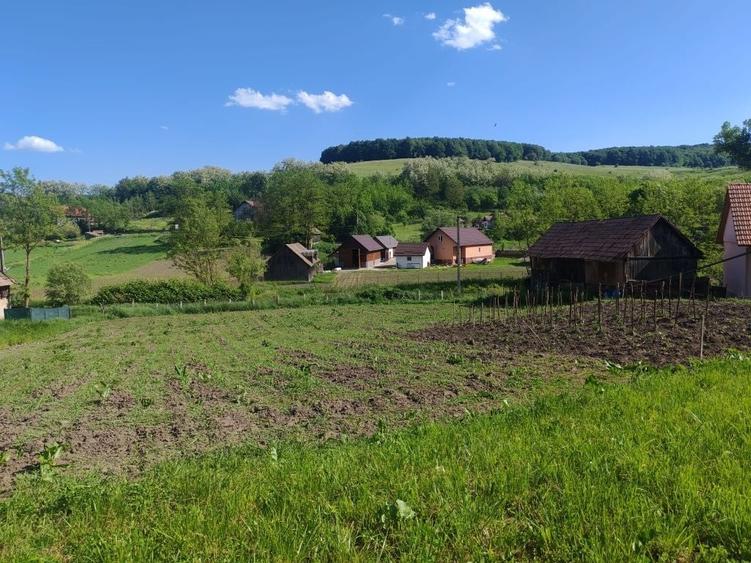 Casă cu 2 camere în Central