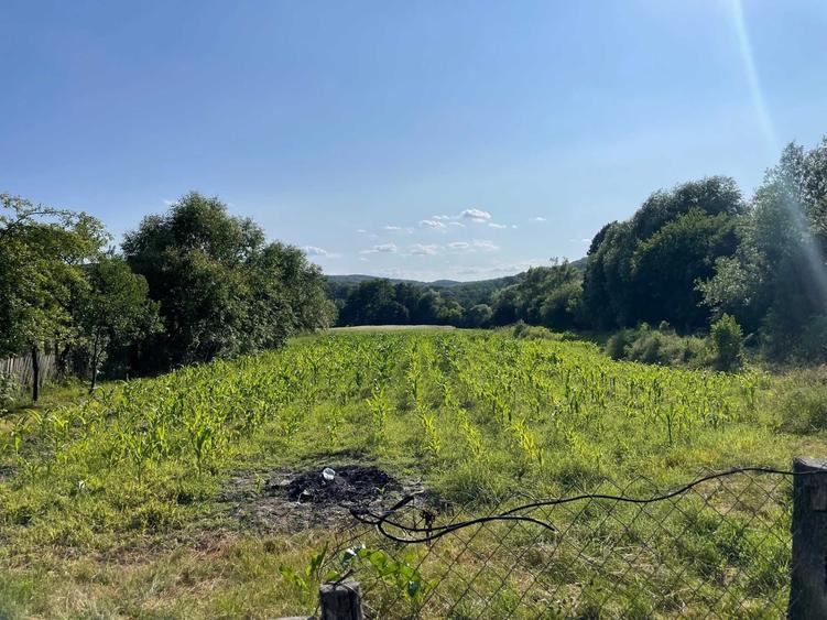 Vand Casa + teren 12.000 mp in Cernisoara, sat Modoia, Valcea - 5