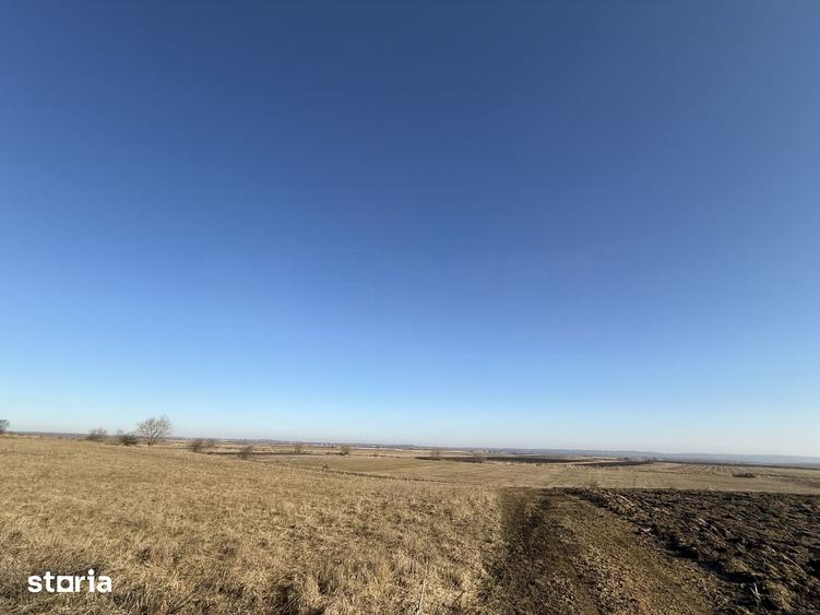 Teren de 2300 mp, în Central