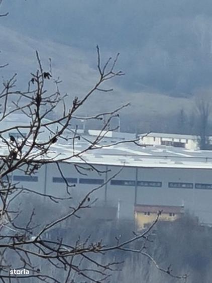 Teren de 4200 mp, în Drajna