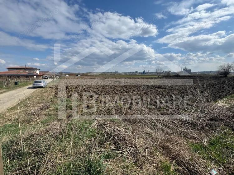 Teren de 501 mp, în Nazna