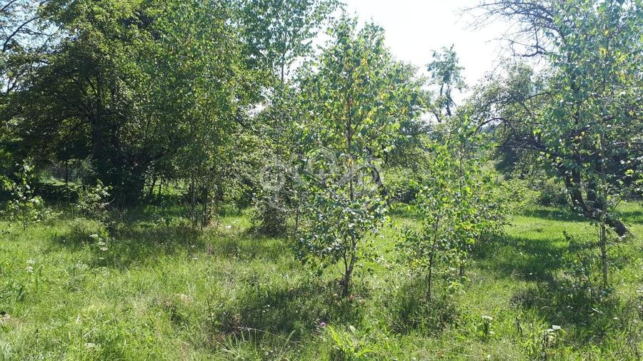 Teren Construcții extravilan de 5000 mp, în Câmpulung Muscel