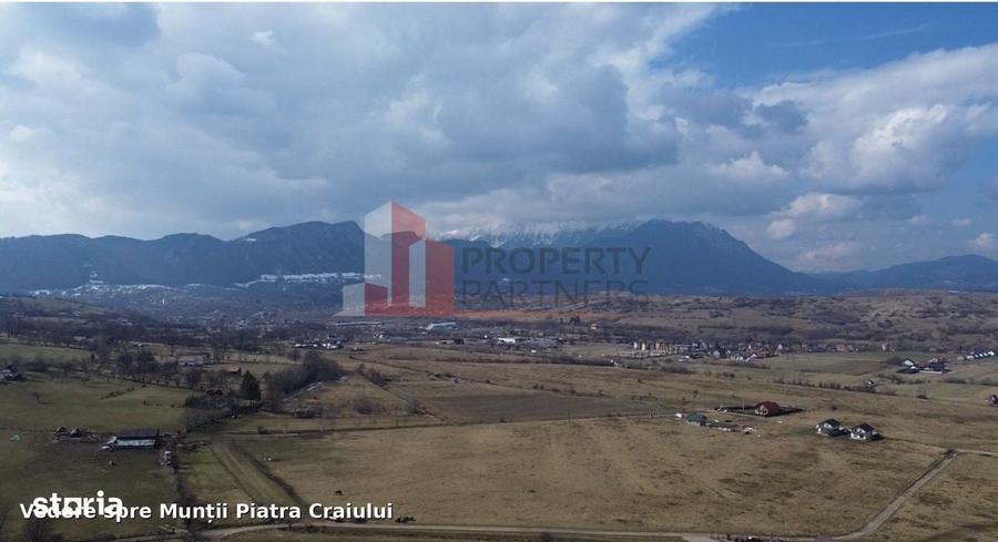 Spațiu comercial, în Sohodol