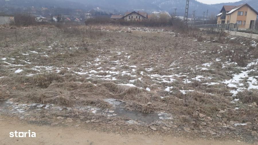 Teren de 2700 mp, în Cicârlău