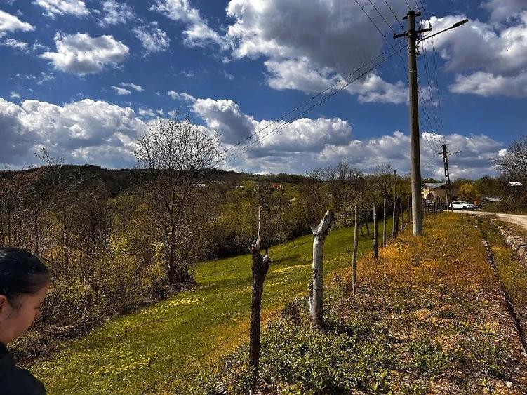 Teren de 2350 mp, în Surani