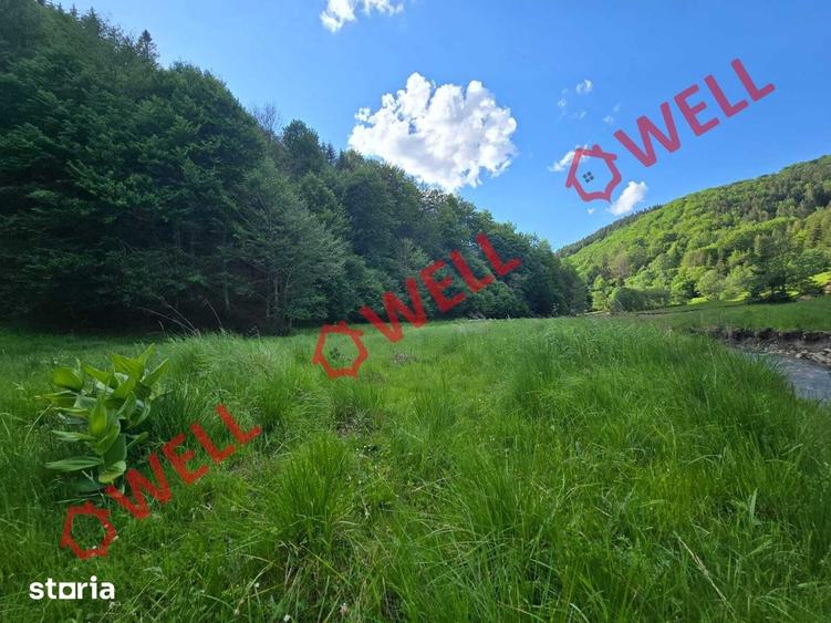 Teren de 57000 mp, în Vama Buzăului
