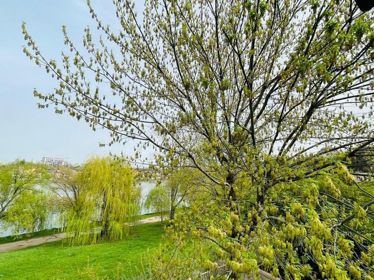 Apartament cu 2 camere decomandat, mobilat în Tei