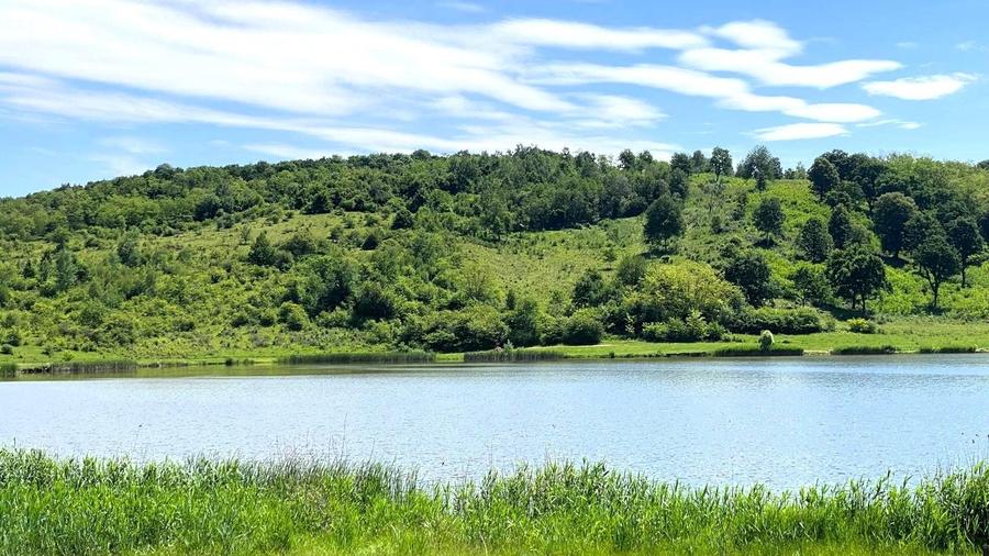 Teren extravilan 3200mp lac Sacel - 2