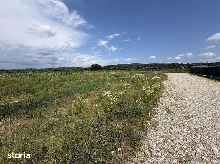 Teren de 884 mp, în Central