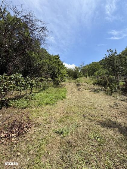 Casa de vanzare in Sighi?oara 109 mp, teren 1.352 mp - 6