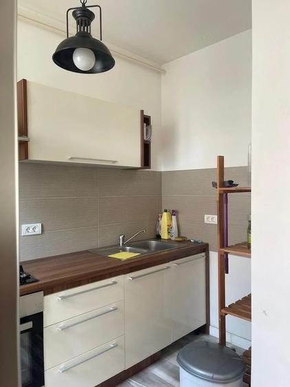 Apartament modern 2 camere, loc de parcare, Dumbravita / Ikea - 4