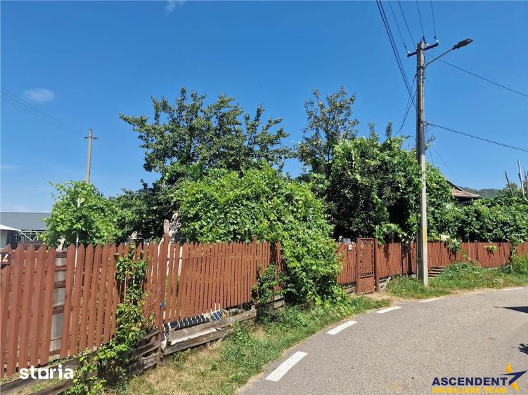 Casa traditionala, cu 2.000mp teren roditor, Izvoarele, Prahova - 14