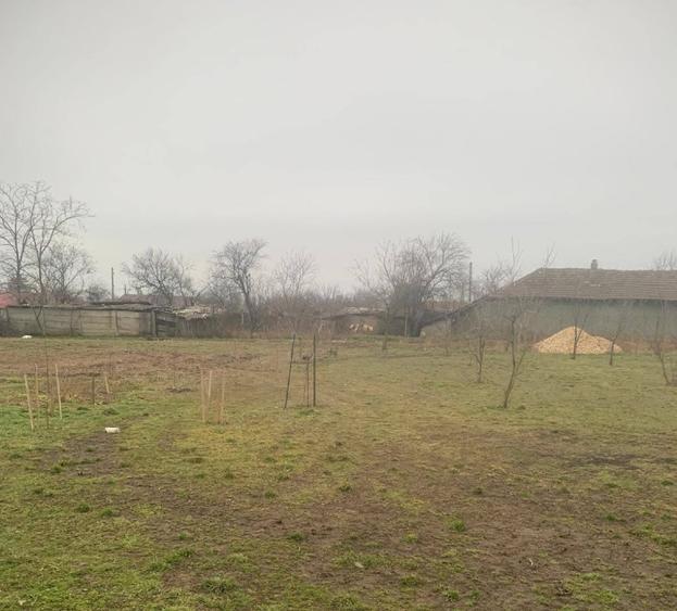 Teren Construcții intravilan de 1000 mp, în Chirnogeni