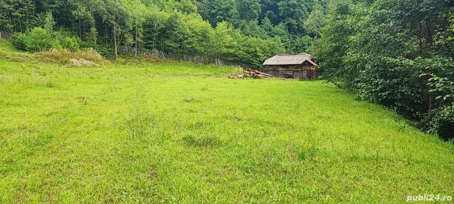 Teren de 5600 mp, în Malaia