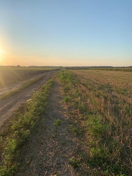 Teren Construcții intravilan de 8655 mp, în Dascălu