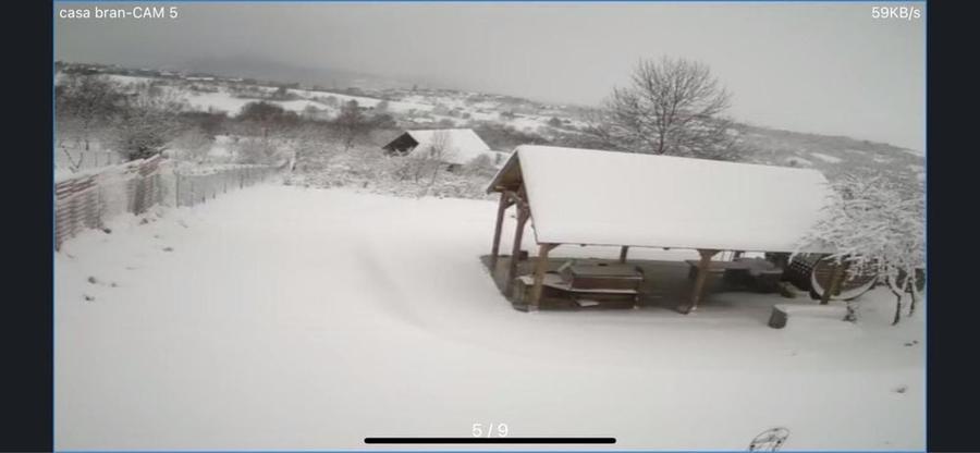 Casă cu 4 camere cu Teren 4000 Mp în Bran