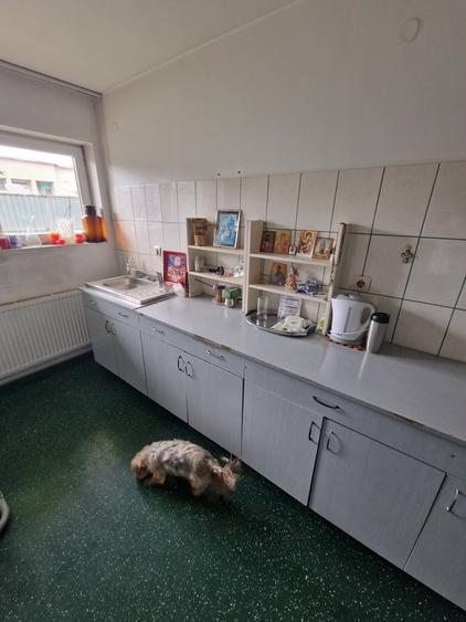 Casă cu 7 camere cu Teren 255 Mp în Central