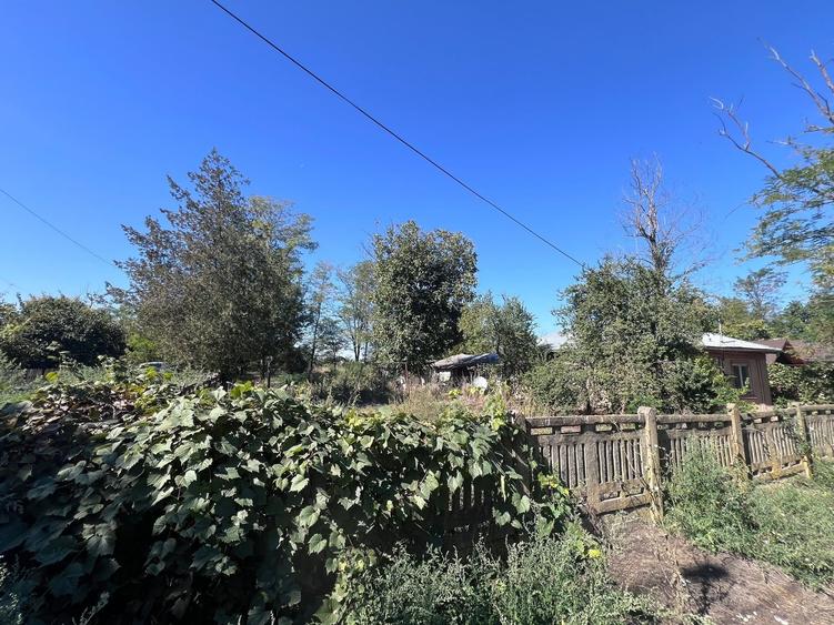 Casă cu 3 camere în Central