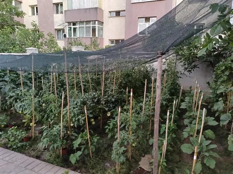 Casă cu Teren 450 Mp în Central