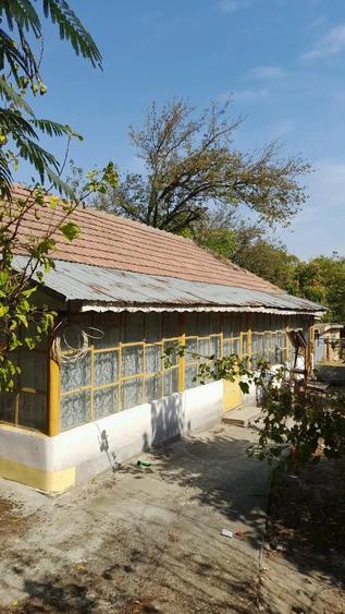Casă cu Teren 3000 Mp în Vânători
