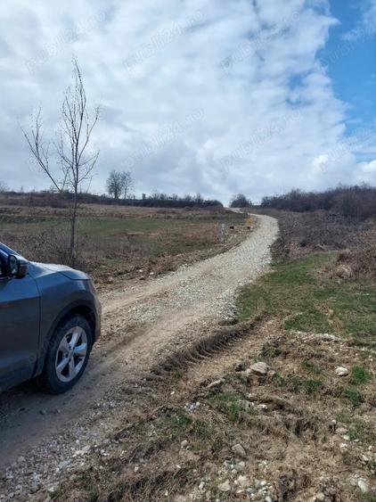 Teren de 880 mp, în Central