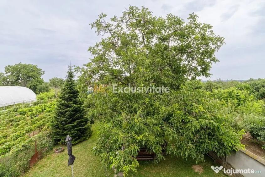 Casă cu 7 camere cu Teren 1537 Mp în Cornetu
