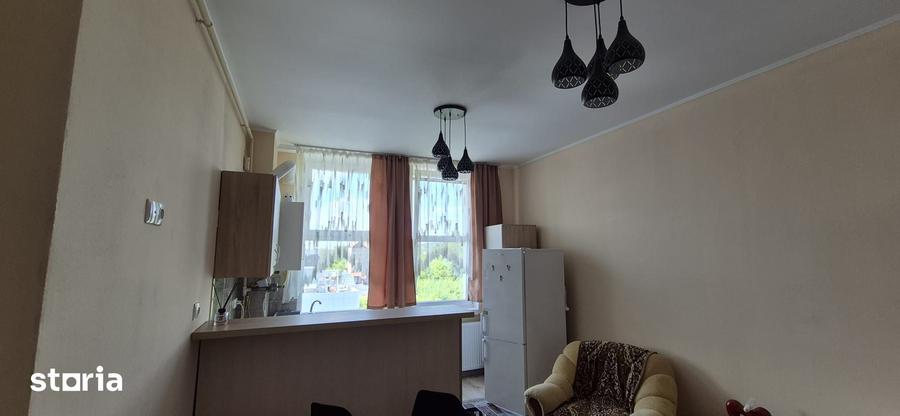 Apartament cu 2 camere în Valea Borcutului